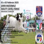 BH - AGILITY DOG - VIVARO PN - 01.02.2025 - 8 ABBAI SOPRA IL CIELO