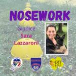 NO-NOSEWORK- CASAMASSIMA 25 GENNAIO 2025