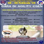 AG - AGILITY DOG  - Superstar A.T. - Sesto Calende - 08 febbraio