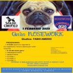 NO-NOSEWORK-CAMPI BISENZIO-1 FEBBRAIO 2025