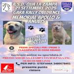 RO - RALLY OBEDIENCE - OLMO DI MIRA VE 21 SETTEMBRE 2025