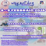 BH - AGILITY DOG - ROMA - WHY NOT DOG - 8 FEBBRAIO 2025