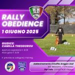 RO - RALLY OBEDIENCE - CHIVASSO 01 GIUGNO