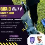 RO - RALLY OBEDIENCE - DOG ANGEL - SCHIO 21 GIUGNO