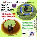 BH AGILITY DOG AIELLO DEL FRIULI UD 12.07.2025