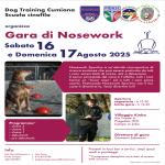 NO-NOSEWORK FIDASC-PRAGELATO TO- DOG TRAINING CUMIANA  17.08.2025
