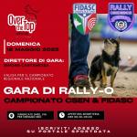 RO - RALLY OBEDIENCE - OVER THE TOP - VIMERCATE - 18 MAGGIO 2025