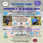 RO - RALLY OBEDIENCE - MONTEVIALE VI 18/05/2025 VI DOG ASD