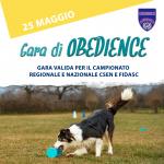 OB - OBEDIENCE - BOUBOU CAMP - VARESE 25 MAGGIO 2025