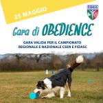 OB FIDASC - OBEDIENCE - BOUBOU CAMP - VARESE 25 MAGGIO 2025