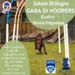 HO - HOOPERS - CORNEDO VICENTINO VI SABATO 28 GIUGNO SERALE