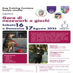 NO-GIOCHI-PRAGELATO-DOG TRAINING CUMIANA