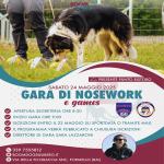 NO - GIOCHI NOSEWORK - FORMELLO - BOOM DOGS - 24 MAGGIO