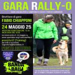 RO - RALLY OBEDIENCE - BAREGGIO MI 24 MAGGIO