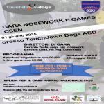 NO - GIOCHI NOSEWORK - CSEN - TOUCHDOWN DOGS ASD -1 GIUGNO - ROZZANO -MI
