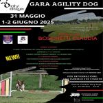 BH - AGILITY DOG - TERNI 31 MAGGIO 2025