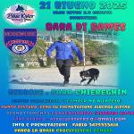NO-GIOCHI NOSEWORK-CROCEFIESCHI-GENOVA-21 GIUGNO 2025