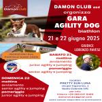 BH- AGILITY DOG - SESTO CALENDE 22 GIUGNO