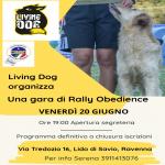RO - RALLYOBEDIENCE - LIDO DI SAVIO 20 GIUGNO