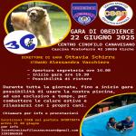 OB - OBEDIENCE - 3C CENTRO CINOFILO CANAVESANO ASD - VISCHE 22 GIUGNO