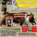 BH - AGILITY DOG - SAN MARTINO IN CAMPO PG - 20 GIUGNO 2025