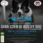BH - AGILITY DOG CSEN- BRACCIANO - WHY NOT DOG - 21 GIUGNO 2025