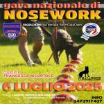 NO - GARA NAZIONALE NOSEWORK CSEN MALANOCHE