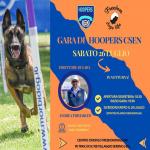 HO - HOOPERS - CSEN - FREEDOM DOGS LIFE BRESCIA- 26 LUGLIO 2025 NOTTURNA