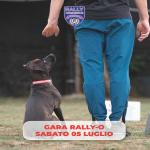RO - RALLYOBEDIENCE FIDASC- ROMA 05 Luglio