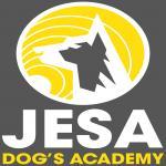 SDS - SWIMDOG - CSEN - POZZUOLI - JESA DOGS ACADEMY - 19 LUGLIO