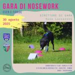 NO-NOSEWORK FIDASC-RIMINI RN 30 AGOSTO