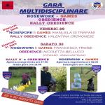 NO - NOSEWORK  AVELLINO 29 AGOSTO 2025