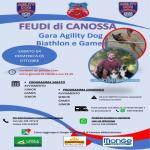 BH - AGILTY DOG - FEUDI DI CANOSSA CAVRIAGO RE - 04 OTTOBRE