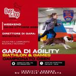 BH - AGILITY DOG - VIMERCATE - OVER THE TOP - 04 OTTOBRE 2025