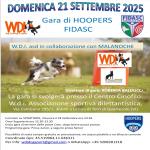 HO - FIDASC - HOOPERS - 21 SETTEMBRE - TORRI DI QUARTESOLO